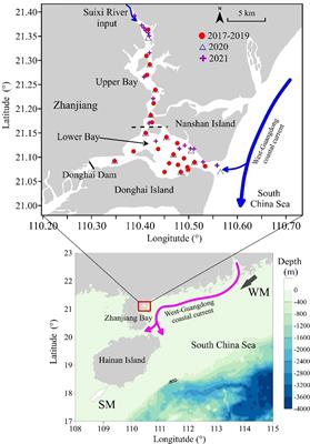 Increasing eutrophication driven by the increase of phosphate discharge in a subtropical bay in the past 30 years